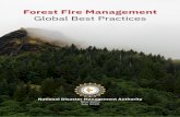 Forest Fire Management - National Disaster Management ...