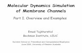Molecular Dynamics Simulation of Membrane Channels