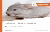 Huisdierwijzer chinchilla - Huisdierinfo-home