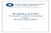 WellSky/SAMS Navigation and Formatting Guide