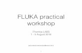 FLUKA practical workshop