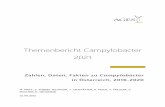 Themenbericht Campylobacter 2021 - ages.at