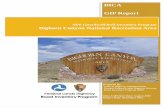 NPS Guardwall/Rail Inventory Program Bighorn Canyon ...
