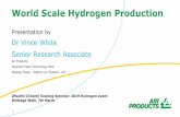 World Scale Hydrogen Production - IChemE