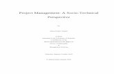 Project Management: A Socio-Technical Perspective
