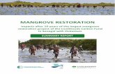 Impacts after 10 years of the largest mangrove restoration ...