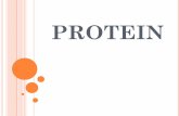 PROTEIN - Web UPI Official