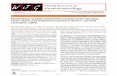 Moxibustion inhibits interleukin-12 and tumor necrosis ...