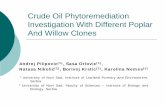Crude Oil Phytoremediation Investigation With Different ...