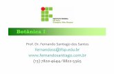 aula6 bota final - .: Fernando Santiago dos Santos
