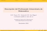 Descripción del Profesorado Universitario de Matemática