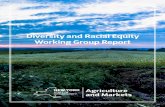Diversity and Racial Equity Working Group Report