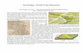 Geology: Field Trip Reports - SU3A