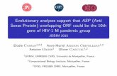 Evolutionary analyses support that ASP (Anti Sense Protein ...