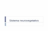 Sistema neurovegetativo - University of São Paulo