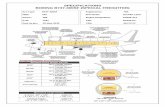 SPECIFICATIONS BOEING B737-300SF (SPECIAL FREIGHTER)