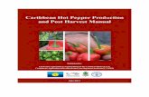 Caribbean Hot Pepper Production and