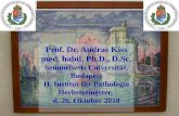 Prof. Dr. Andras Kiss med. habil, Ph.D., D.Sc.