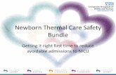 Newborn Thermal Care Safety Bundle