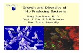 Growth and Diversity of H2-Producing Bacteria