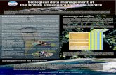 BODC’s oceanographic databases BODC Biological Data ...