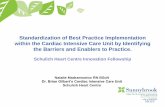 Standardization of Best Practice Implementation within the ...