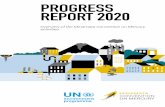 PROGRESS REPORT 2020 - mercuryconvention.org