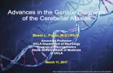 Advances in Genetic Diagnosis - Ataxia
