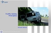 Traffic Safety Principles