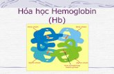 Hóa học Hemoglobin (Hb)