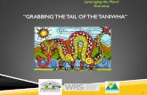 “GRABBING THE TAIL OF THE TANIWHA”