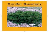 Conifer Quarterly - duz1zqzp328bb.cloudfront.net
