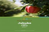 Jabuke Katalog - Pan Harvest