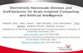 Biomimetic Nanoscale Devices and Architectures for Brain ...