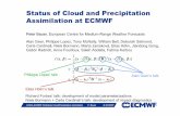 Status of Cloud and Precipitation Assimilation at ECMWF