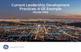Current leadership development practices: a GE example