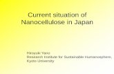 Current situation of Nanocellulose in Japan