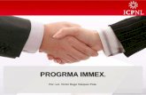 PROGRMA IMMEX - anefacmty.com