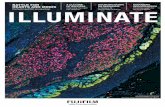 Illuminate Booklet - Fujifilm