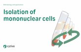 Methodology and applications Isolation of mononuclear cells