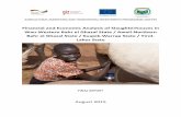 Financial and Economic Analysis of Slaughterhouses in Wau ...