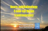 Neuro-ophthalmology: 5 new-ish things (controversies)