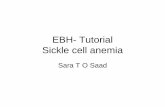 EBH- Tutorial Sickle cell anemia - ABHH Eventos