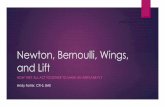 Newton, Bernoulli, Wings, and Lift