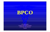 BPCO 91208.ppt [Mode de compatibilité]