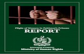 REPORT - Ministry of Human Rights