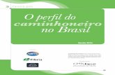 pesquisa O perfil do caminhoneiro no Brasil
