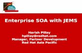 Enterprise SOA with JEMS