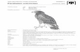 Order Falconiformes / Family Accipitridae APPENDIX II ...