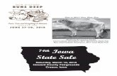 Iowa State Sale